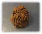 Speculos truffles