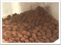 Cocoa powder truffles