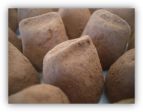 Chocolate trufles cocoa powder